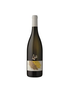 CHARDONNAY CARDELLINO 75cl 2023 - WALCH ELENA