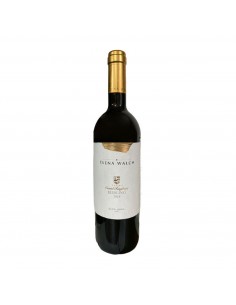 RIESLING CASTEL RINGBERG 75cl 2023 - WALCH ELENA