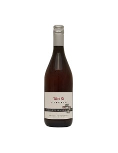 LIBERTA' TERRA ROSATO 75cl 2024 - MASSA VALTER VIGNETI