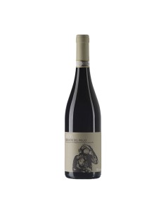 SAPIENS CESANESE DEL PIGLIO 75cl 2024 - FEDERICI