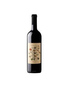 NERO D'AVOLA 75cl 2024 - COLOSI
