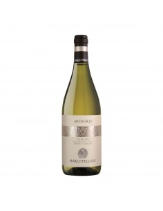 PINOT GRIGIO MONGRIS 75cl 2025 - FELLUGA MARCO