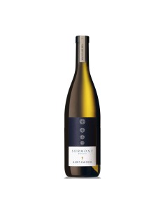 RIESLING SURMONT bd 75cl 2023 - LAGEDER