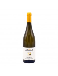 I GERMOGLI VIVACE vinificato in bianco 75cl 2024 -...
