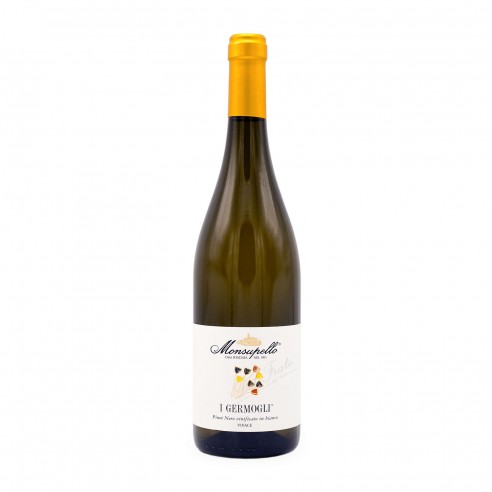 I GERMOGLI VIVACE vinificato in bianco 75cl...