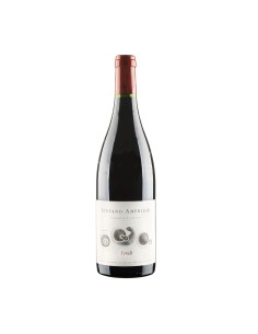 SYRAH DOC CORTONA 75cl 2022 - AMERIGHI STEFANO
