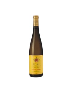 FRIULANO COLLIO 75cl 2023 - SCHIOPETTO