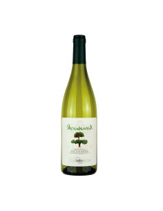 FALANGHINA MORABIANCA 75cl 2025 - MASTROBERARDINO