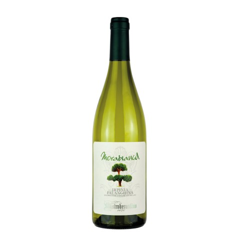 FALANGHINA MORABIANCA 75cl 2025 - MASTROBERARDINO