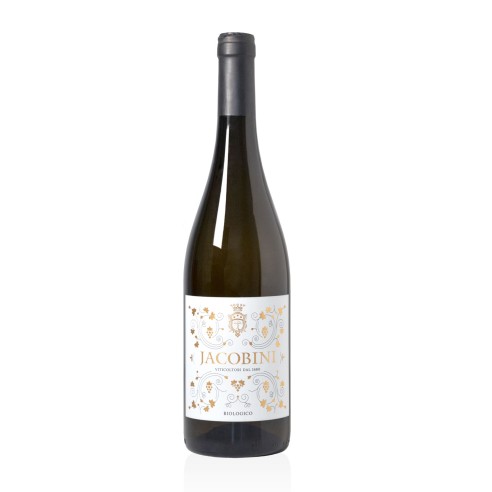 JACOBINI lazio bianco igp bio 75cl 2022 -...