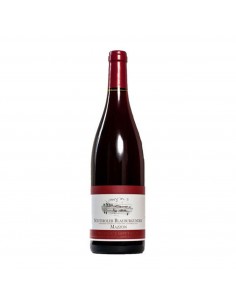 PINOT NERO BLAUBURGUNDER MAZZON 75cl 2020 - GOTTARDI