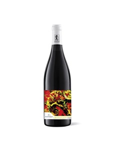 CHAMAELEON TREBBIANO MACERATO 75cl 2021 - BASTIANELLI