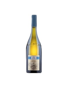 SOGNO DI RIVOLTA BENEVENTANO bio 75cl 2021 - FATTORIA LA...