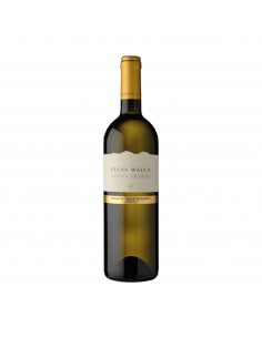 PINOT BIANCO 75cl 2024 - WALCH ELENA