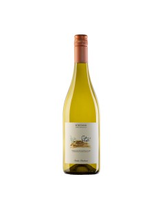 VERDICCHIO STE' 75cl 2025 - SANTA BARBARA