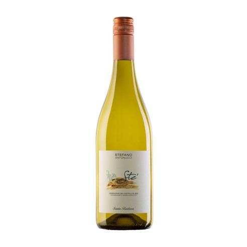 VERDICCHIO STE' 75cl 2025 - SANTA BARBARA