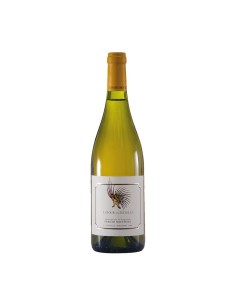 GRECHETTO LA TORRE A CIVITELLA bio 75cl 2023 - MOTTURA