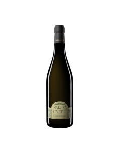 CHARDONNAY MARINA CVETIC 75cl 2022 - MASCIARELLI