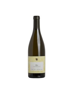 VIERIS SAUVIGNON 75cl 2023 - VIE DI ROMANS