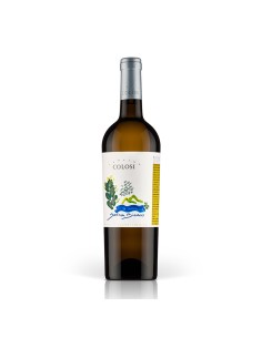 SALINA BIANCO 75cl 2024 - COLOSI