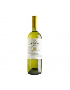 MJERE SALENTO BIANCO 75cl 2025 - CALO' MICHELE E FIGLI