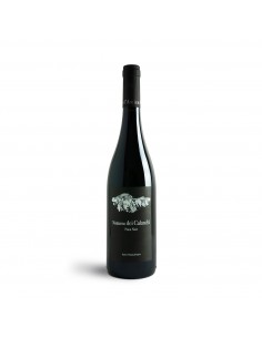 PINOT NERO NOTTURNO DEI CALANCHI 75cl 2023 - D'AMICO...