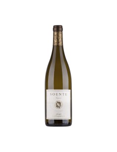 SOENTE VIOGNIER 75cl 2024 - FAMIGLIA COTARELLA