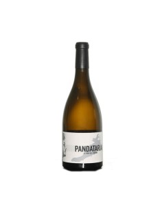 PANDATARIA 75cl 2024 - CANDIDATERRA