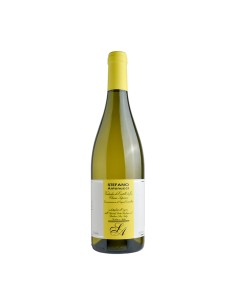VERDICCHIO RISERVA STEFANO ANTONUCCI 75cl 2024 - SANTA...