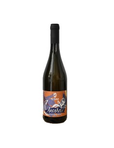 ANCORA BOMBINO BIANCO 75cl 2024 - VIN VIANDANTE