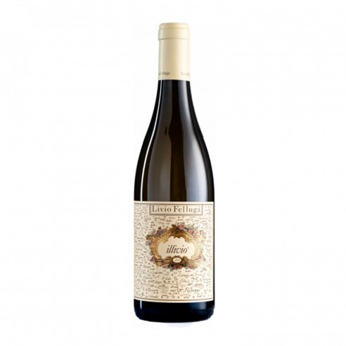 ILLIVIO 75cl 2024 - FELLUGA LIVIO