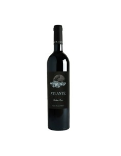 ATLANTE CABERNET FRANC 75cl 2020 - D'AMICO NOEMIA E PAOLO