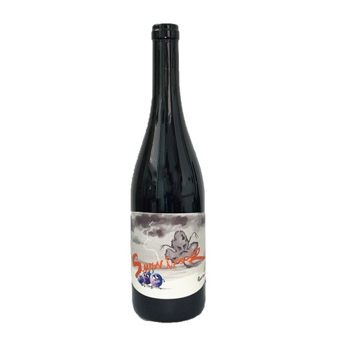 SURVIVOR ROSSO no so2 bio 75cl 2023 - MANCA...