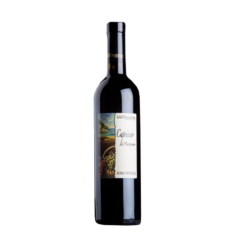 CAPRICCIO DI CIRCE NOVELLO 75cl 2025 - SANT'ANDREA