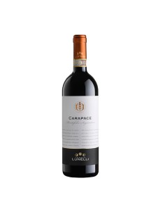 MONTEFALCO SAGRANTINO CARAPACE bio 75cl 2020 - TENUTE...