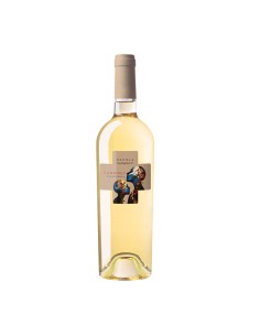 CANDORA CHARDONNAY 75cl 2024 - SCHOLA SARMENTI