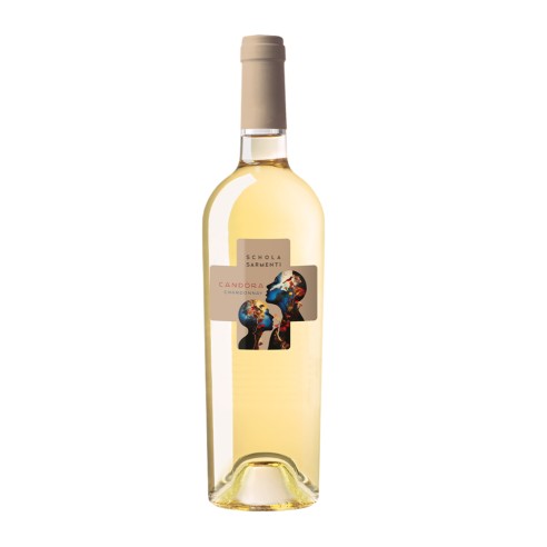 CANDORA CHARDONNAY 75cl 2024 - SCHOLA SARMENTI