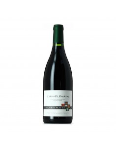 L'AVVELENATA FREISA 75cl 2021 - MASSA VALTER VIGNETI