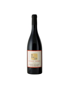 PINOT NERO CASE VIA bio 75cl 2022 - FONTODI