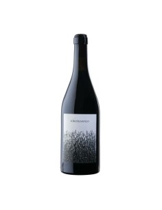 IL BIOSELVATICO SANGIOVESE 75cl 2021 - IL BIOSELVATICO