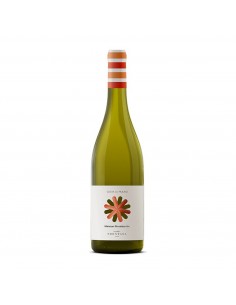 PECORINO COSTA DEL MULINO 75cl 2025 - CANTINA FRENTANA