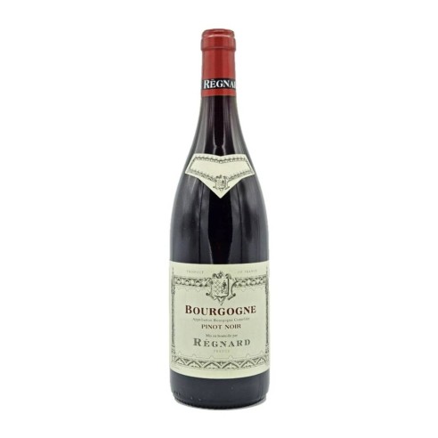 BOURGOGNE ROUGE PINOT NOIR 75cl 2024 - REGNARD