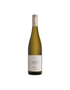 PINOT BIANCO MORIZ 75cl 2025 - TERMENO KELLEREI TRAMIN