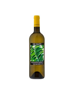 CASAMATTA BIANCO 75cl 2024 - TESTAMATTA DI BIBI GRAETZ