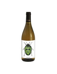VERDICCHIO bio 75cl 2024 - LE ROSE