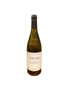 LAVENTE MALVASIA 75cl 2023 - FINI EMILIANO