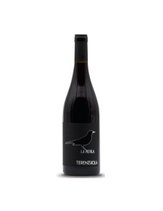 LA MERLA 75cl 2023 - TERENZUOLA