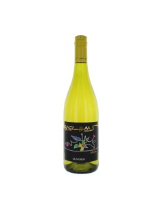 SAUVIGNON 75cl 2024 - HAAS FRANZ