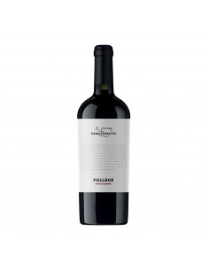 POLLUCE NERO BUONO 75cl 2024 - CANTINA CINCINNATO
