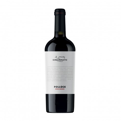 POLLUCE NERO BUONO 75cl 2024 - CANTINA CINCINNATO
